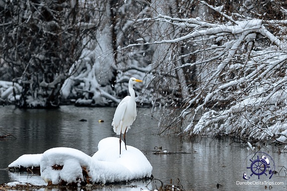 Danube Delta Boat Trips