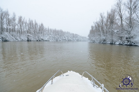 Excursii cu barca in Delta Dunarii