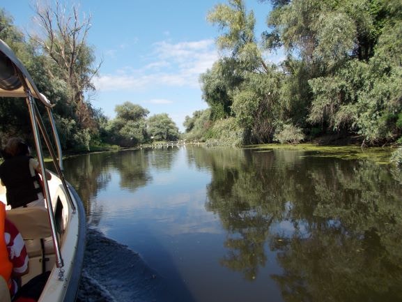 Excursii cu barca in Delta Dunarii