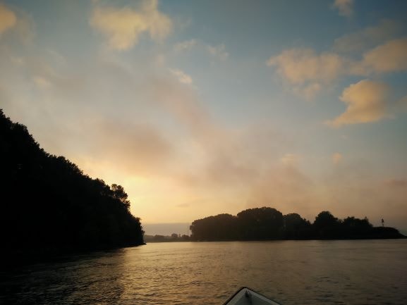 Danube Delta Boat Trips