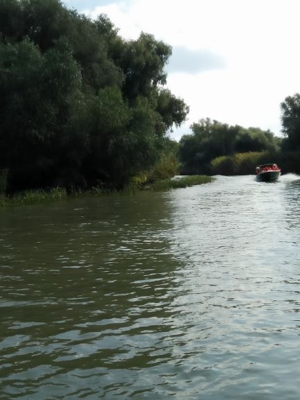 Danube Delta Boat Trips