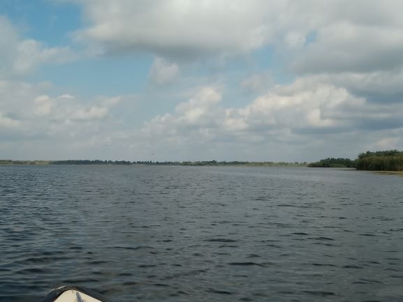 Danube Delta Boat Trips