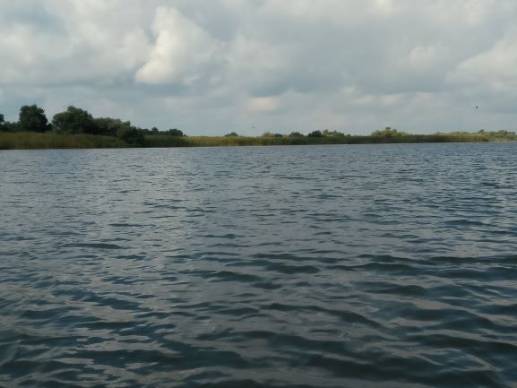 Danube Delta Boat Trips