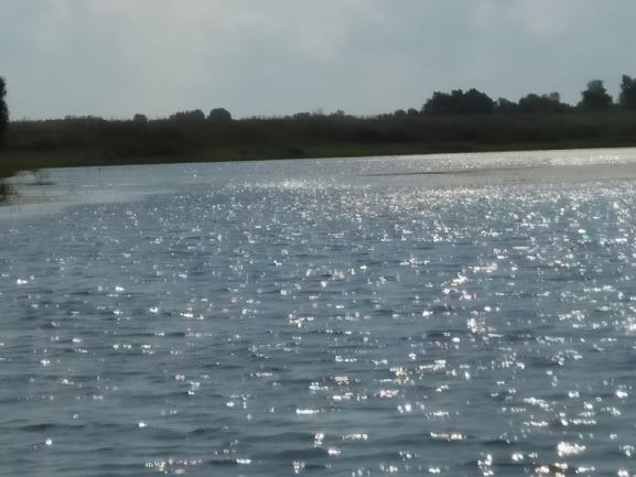 Danube Delta Boat Trips