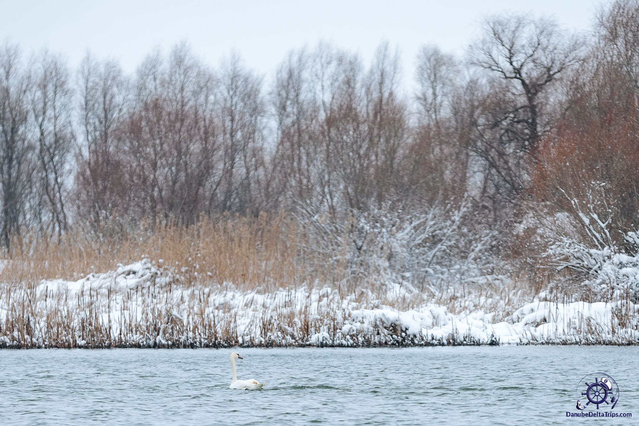 Danube Delta Boat Trips